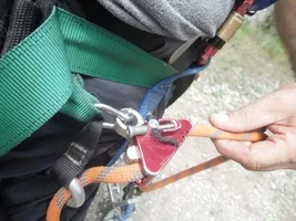 CR adjustable bridge1.webp