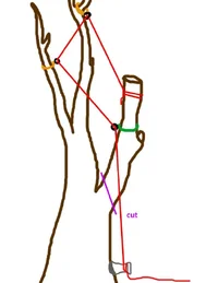 redirect thinking tree 4.webp