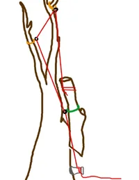 redirect thinking tree 5.webp