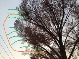 shingle paint reduced.webp