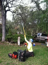 STEIN throw launcher 1.webp