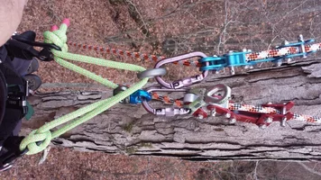 bottom (Medium).webp