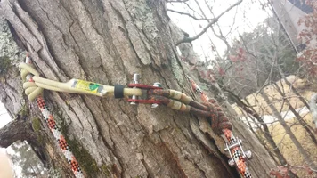 CloseUp (Medium).webp