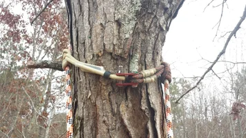 CloseUp2 (Medium).webp