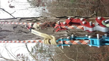 doubleDescent (Medium).webp