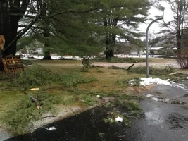 IMG_0393.webp IMG_0393.webp