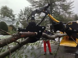 IMG_0402.webp IMG_0402.webp