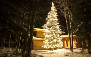 front door 1tree wide-0968.webp