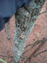 IMG_20141222_132424_662 (Medium).webp