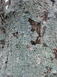 IMG_20141222_132450_624 (Medium).webp