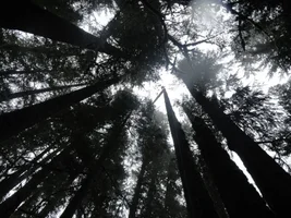 DSC04139 - Copy.webp