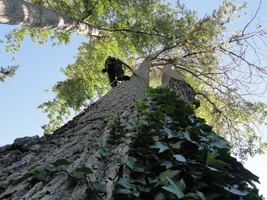 DSC03323 - Copy.webp