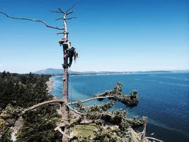 photo (4) - Copy.webp