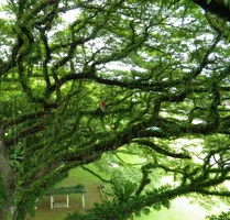 epic shot small.webp epic shot small.webp