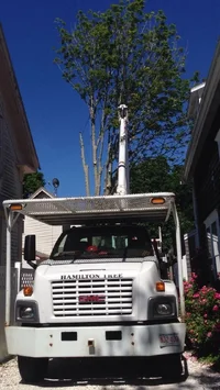 image.webp image.webp