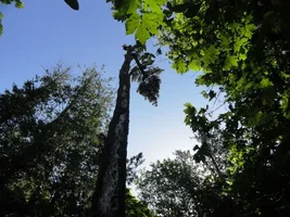 DSC03258 - Copy.webp