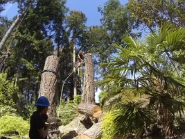 TL000901 - Copy.webp