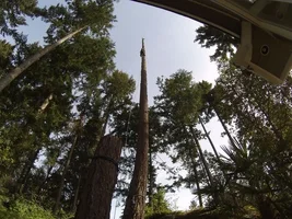 TL000069 - Copy.webp