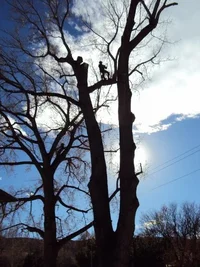 DSC00522 (480x640).webp