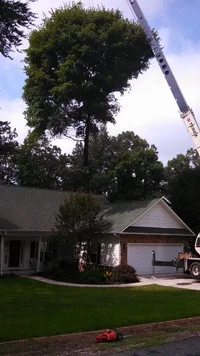 IMG_20140613_105941_849 (576x1024).webp