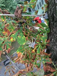 Cable spliced 1976.webp