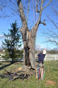 072 copy.webp 072 copy.webp