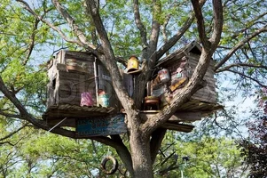 4432052-tree-house.webp