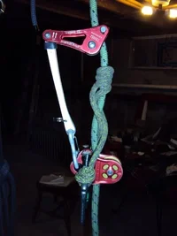 DSC00242 (480x640).webp