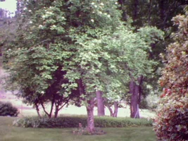 25148-Photo #19.webp