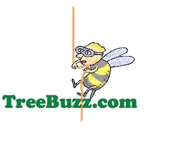 28853-buzz.webp