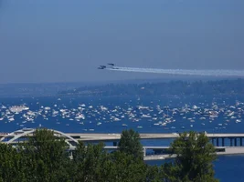28913-Seafair90_w.webp