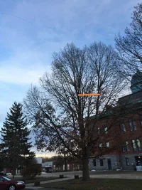 Menardcch 1501 cable q alba.webp