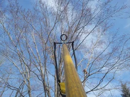 Pinpoint Accuracy.webp