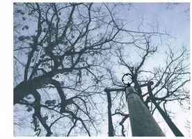 Big Shot 'Sight'.webp