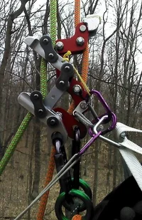 IMG_20150131_164658_569 crop (Small).webp