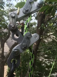 IMG_0844 edited.webp