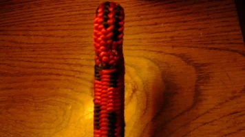 20150209_164525.webp 20150209_164525.webp