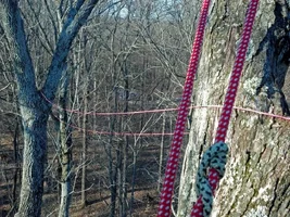 IMG_20150210_163239_021 pe copy (Medium).webp