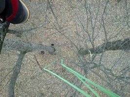 IMG_20150211_161721_639 pe copy (Small).webp IMG_20150211_161721_639 pe copy (Small).webp