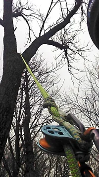 IMG_20150211_161639_999 pe copy (Small).webp IMG_20150211_161639_999 pe copy (Small).webp