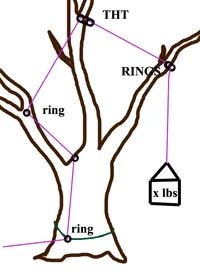 THT where BETTER.webp