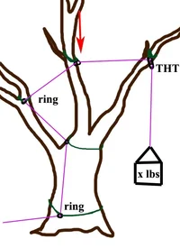 THT where top lower.webp