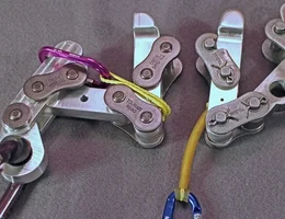 IMG_0585 cropped pe (Small).webp