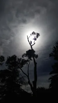 2015-03-02 11.09.32.webp