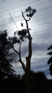 2015-03-02 11.14.03.webp