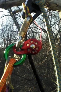 IMG_20150130_164847_781crop (Small).webp