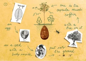 Screen Shot 2015-03-06 at 9.35.02 PM.webp