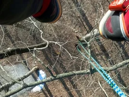 IMG_20150311_170520_180 (Small).webp