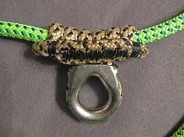 IMG_5069 pe copy (Custom).webp