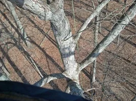 IMG_20150321_162851_314 pe copy (Small).webp